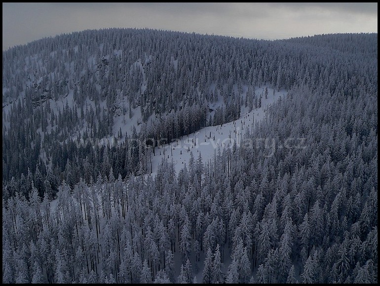 Plech� 1378 metr� n.m.